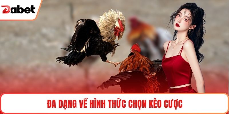 Đa dạng về hình thức chọn kèo cược