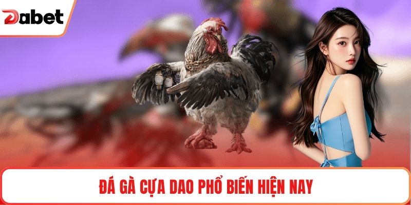 Đá gà cựa dao phổ biến hiện nay