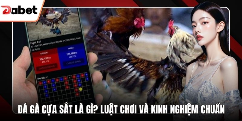 Đá gà cựa sắt