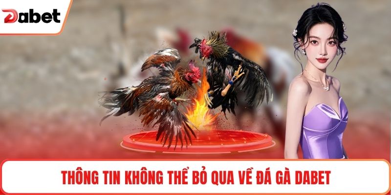 Thông tin không thể bỏ qua về đá gà Dabet