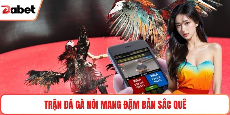 Trận đá gà nòi mang đậm bản sắc quê